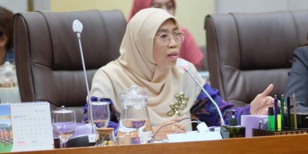 Netty Aher: Pemerataan Layanan Kesehatan Penting, Tapi Tetap Harus Utamakan Keselamatan Pasien