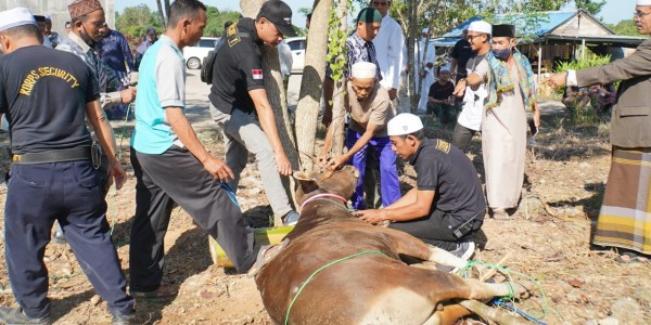 Gubernur DKI Imbau Pembuangan Limbah Hewan Kurban Jangan ke Sungai
