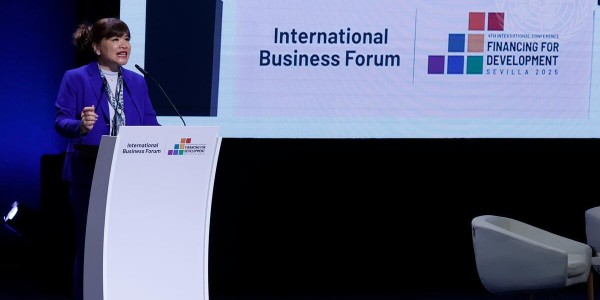Tampil di Panggung PBB, Ketum APINDO Ditunjuk Jadi Co-Chair Business Steering Committee FFD4