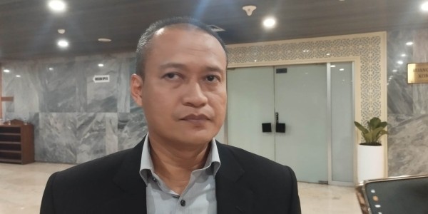Legislator Ingatkan KPU-Bawaslu Hati-hati dalam Pelaksanaan PSU