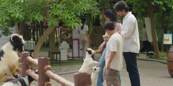 Solo Safari: Ikon Lama yang Bangkit Menjadi Magnet Baru Pariwisata Solo