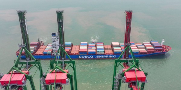 COSCO Buka Rute Baru ke Nava Sheva, Terminal Teluk Lamong Jadi Pintu Masuk Utama