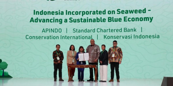 APINDO Teken MoU Bersama Sejumlah Mitra, Dukung Hilirisasi Rumput Laut dan Ekonomi Biru Indonesia