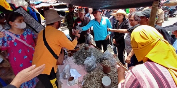 Usai Tanam Cabe Rawit, Senator Stefa Sambangi Pasar Pantau Stok dan Harga Pangan