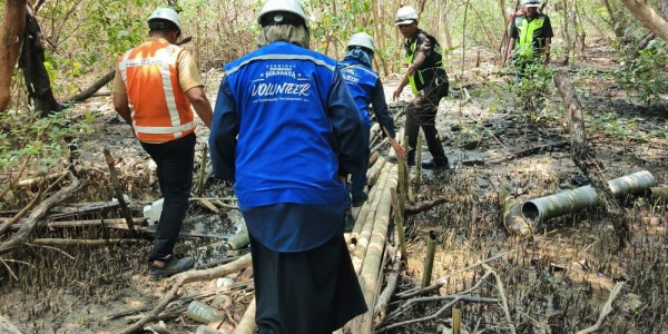 TPS Perkuat Komitmen ESG melalui Pelestarian Ekosistem Mangrove Sejak 2010