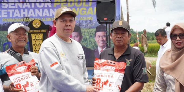 Sultan B. Najamudin Turun ke Sawah, Serahkan Alsinta dan Benih Jagung Untuk Petani Bengkulu