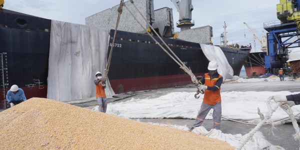 Pelindo Multi Terminal Catat Ekspor Pangan Perdana dari Jamrud ke Vietnam