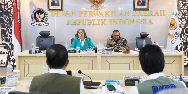 Komite II DPD RI dan BNPB Perkuat Sinergi Mitigasi dan Penanganan Bencana Nasional
