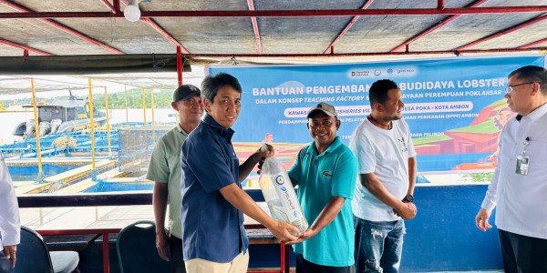 Pelindo Terminal Petikemas Dukung Pengembangan Usaha Budidaya Lobster di Ambon