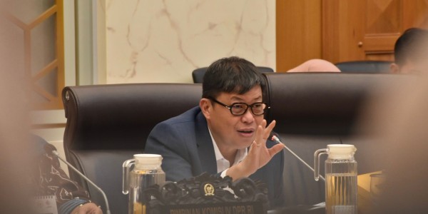 Wakil Ketua Komisi VI Harapkan Pemda Percepat Pendataan Dampak Bencana