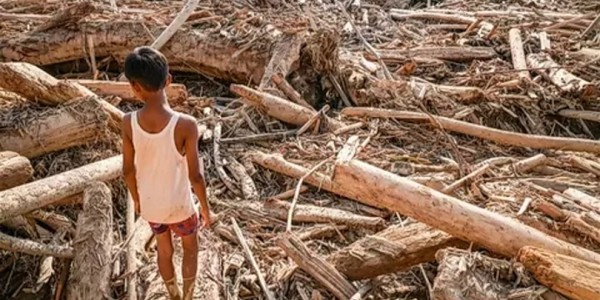 Temukan Ilegal Loging di Sungai Tamiang,  Bareskrim Segera Selidiki