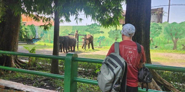 Ahli Gajah Asal Amerika, Steve Koyle Berkunjung Lagi ke Indonesia