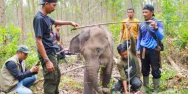 Apa Salahku? Apa Dosaku? Rumahku Kau Jadikan Kebun Sawit dan Tambang