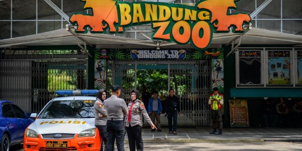 Ketika Pejabat Berwenang Abai, 711 Satwa Liar Yang Dilindungi Menunggu Kematian