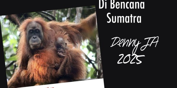 Dewi Menangisi Matinya Belasan Orang Utan di Bencana Sumatra