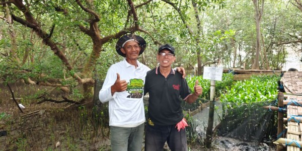 TPS Dorong Restorasi Pesisir Berbasis Pemberdayaan Petani Mangrove