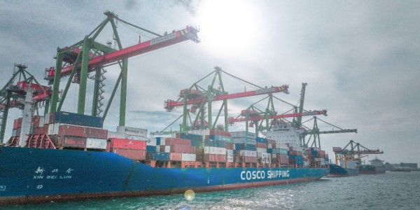 Terminal Teluk Lamong Catat Pertumbuhan Arus Petikemas 6 Persen di 2025
