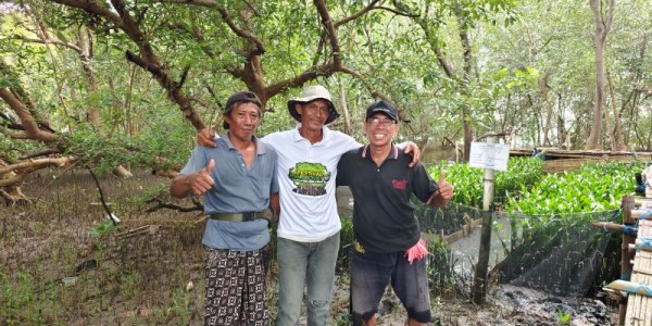 Hadapi Tantangan Abrasi, TPS Kembangkan Pembibitan Mangrove Berkelanjutan