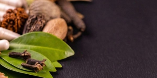 Kandungan Euganol dalam Obat Herbal Jadi Sorotan, Bikin Sehat atau Berbahaya?