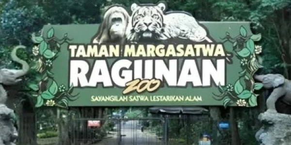 Ragunan Prediksi 400.000 Pengunjung Saat Libur Idul Fitri 2026