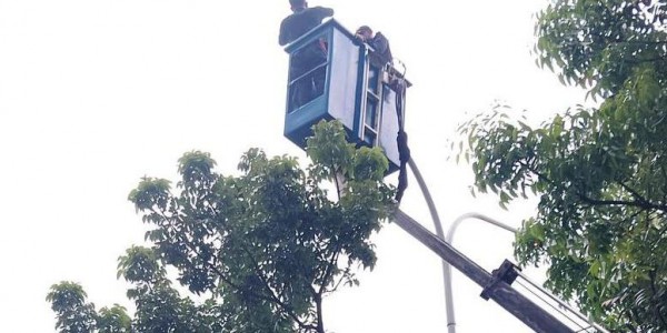 Tim Maung Gaspol Tata Jalan Keadilan Depok, Perbaiki PJU dan Pohon Rawan