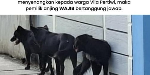 Gerombolan Anjing Resahkan Warga, Anak Dikejar hingga Nyebur Selokan