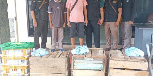 Karantina Jatim Gagalkan Upaya Penyelundupan Satwa Dilindungi