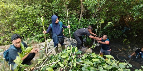 TPS Salurkan 3.000 Bibit Mangrove untuk Penghijauan Pesisir Sontoh Laut Surabaya