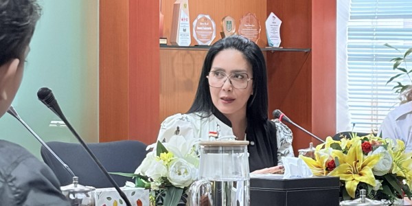 Presiden Prabowo Gerah Urus Izin Hingga 2 Tahun, Rieke : Solusinya Satu Data Indonesia