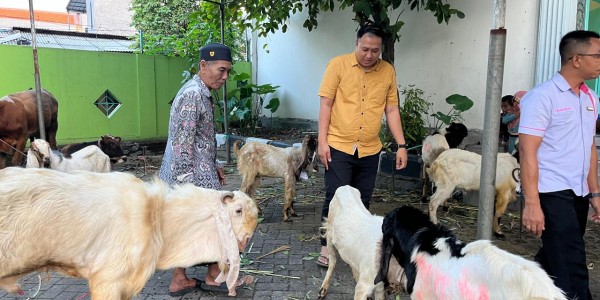 fave hotel Rungkut Surabaya Salurkan Hewan Kurban sebagai Wujud Kepedulian di Hari Raya Iduladha 1447 H