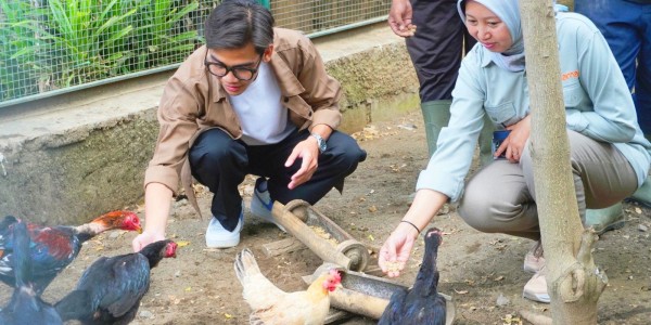 Kolaborasi Lintas Sektor di Malang Raya, Limbah Makanan Hotel Diolah Jadi Pakan Ternak Lewat Gerakan Beyond Waste