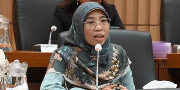 Netty Aher Minta Penajaman Program Kemendukbangga/BKKBN