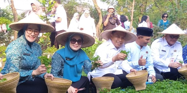 Sulap Fasos Jadi Kebun Produktif, Walkot Supian Suri Acungi Jempol Warga Pengasinan