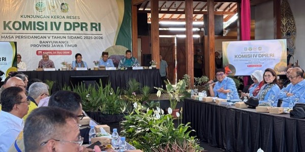 Kilau Emas Perut Bumi Tumpang Pitu Apa Sudah Antar Kesejahteraan Warga Sekitar?