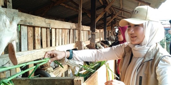 Yeti Wulandari Sebut Kehadiran Yonif TP 899 Jadi Momentum Penguatan Ketahanan Pangan