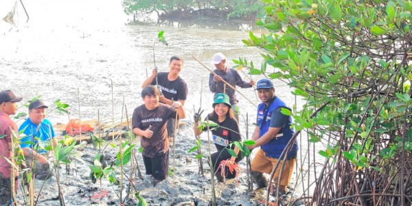 TPS Serahkan 3.000 Bibit Mangrove ke DLH Surabaya untuk Rehabilitasi Pesisir Tambak Sarioso