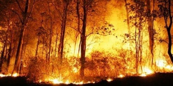 Karhutla Meluas di Ketapang, Warga MHU Terancam Kehilangan Mata Pencaharian
