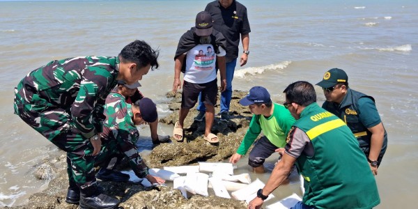 Barantin Selamatkan 30.789 Benih Lobster Senilai Rp4,6 Miliar dari Bandara Juanda
